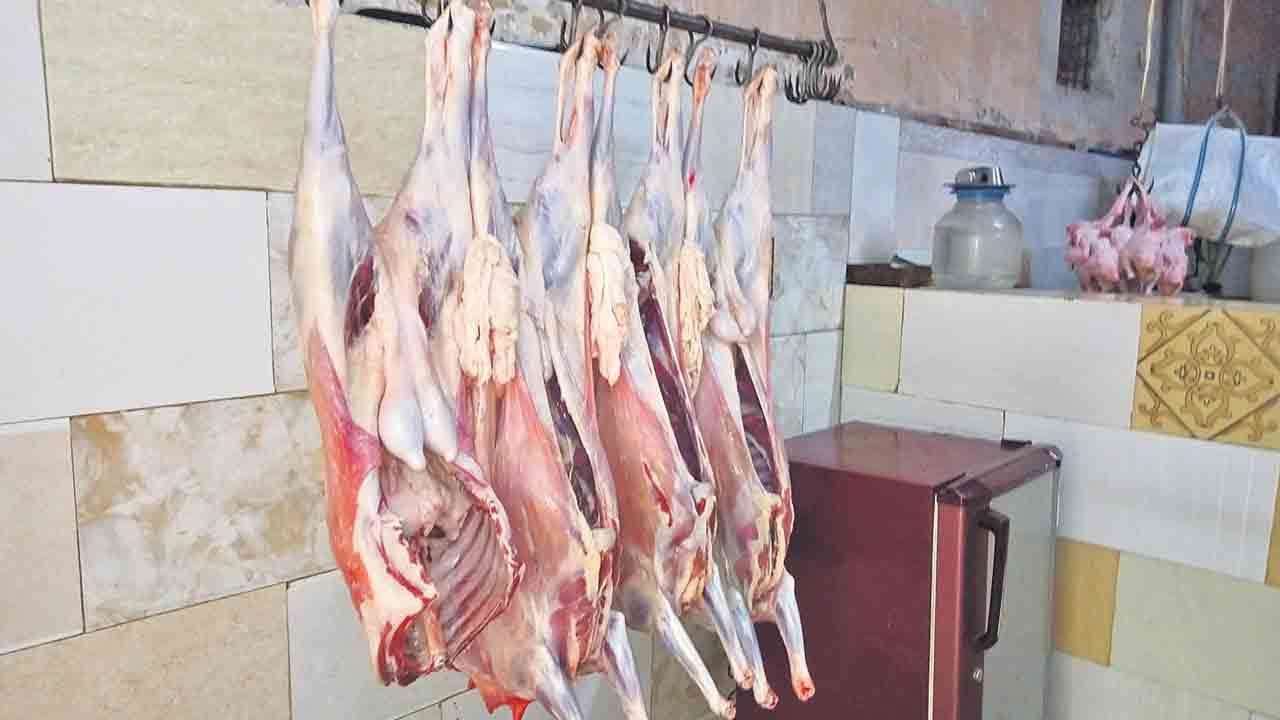 ముక్క మంచిదేనా?