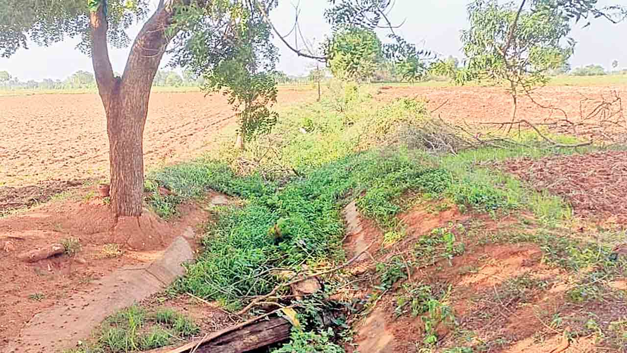 దర్జాగా కాల్వ కబ్జా