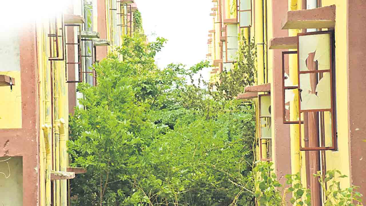 డబుల్‌ ట్రబుల్‌!