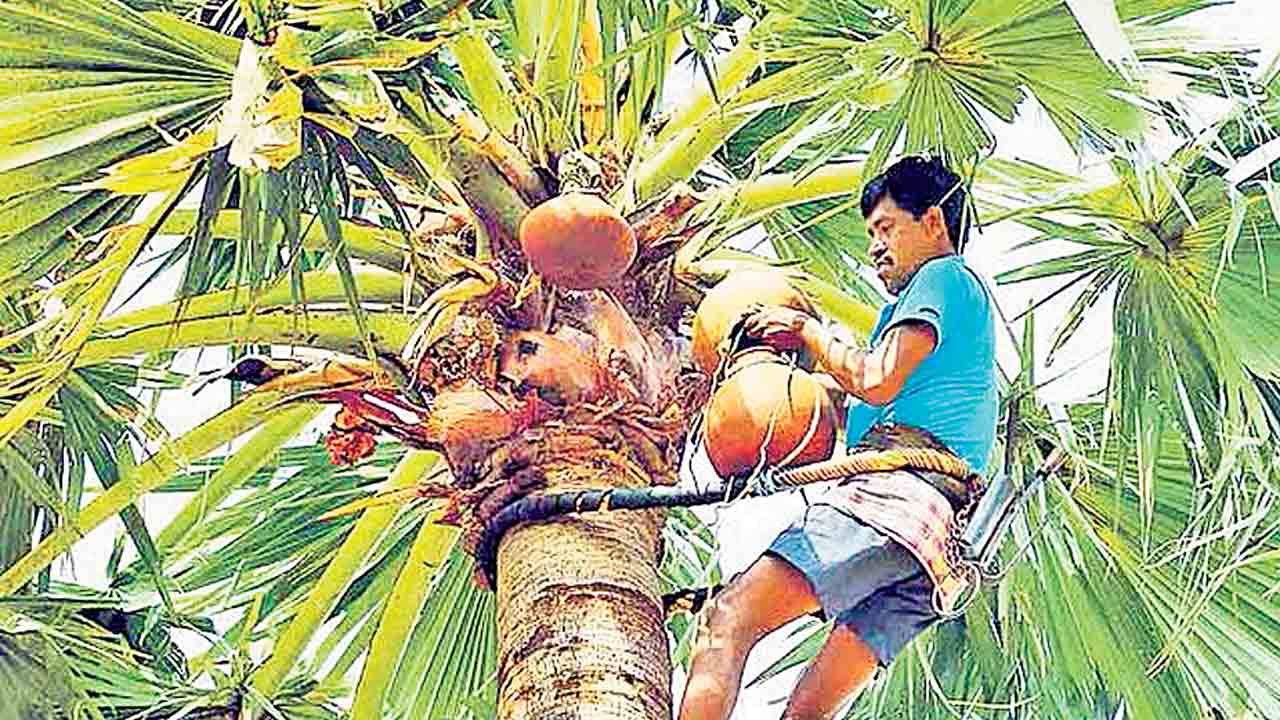 బీమా రాదు..ధీమా లేదు..!