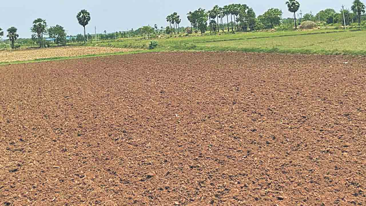 ఈ వానకాలమూ ఎండుడేనా?