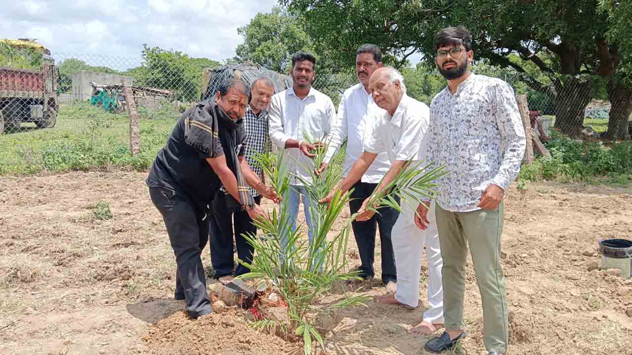 Oilpalm Subsidy | ఆయిల్పామ్ సాగుకు ప్రభుత్వ సబ్సిడీ : వ్యవసాయ శాఖ అధికారి గంగుమల్లు