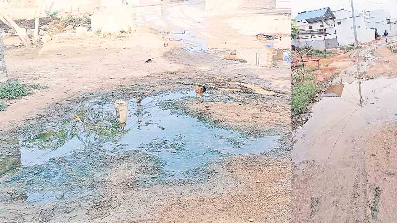 పడకేసిన పారిశుధ్యం