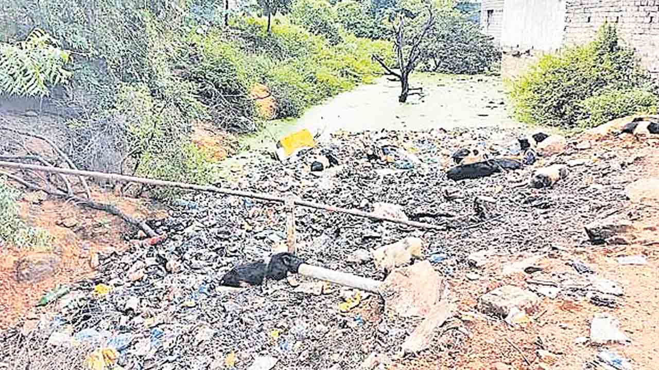 రాచకాల్వ కబ్జా