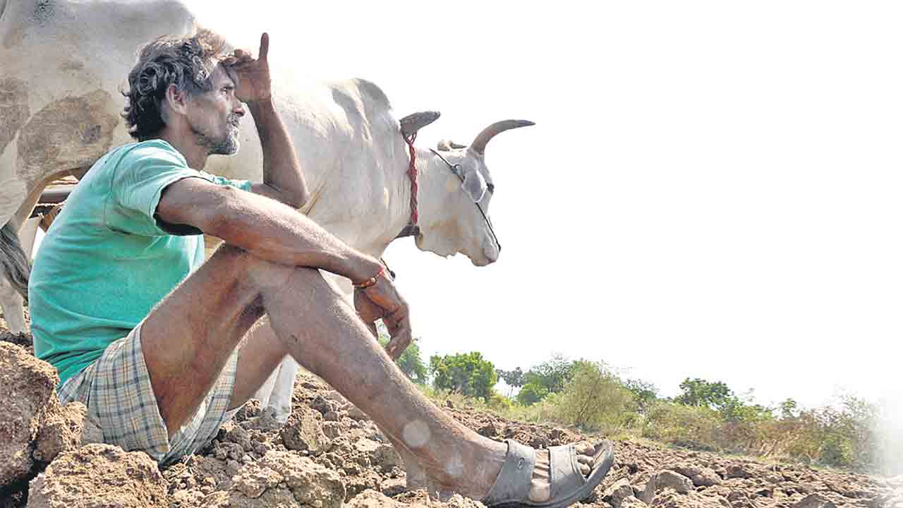 చినుకు కరువాయె.. కలవరమాయె..!