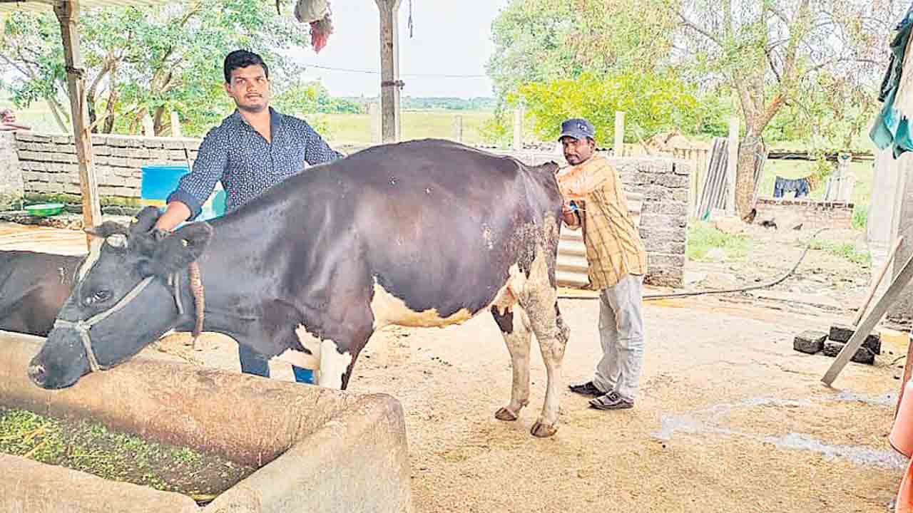 గోపాలమిత్రల గోస