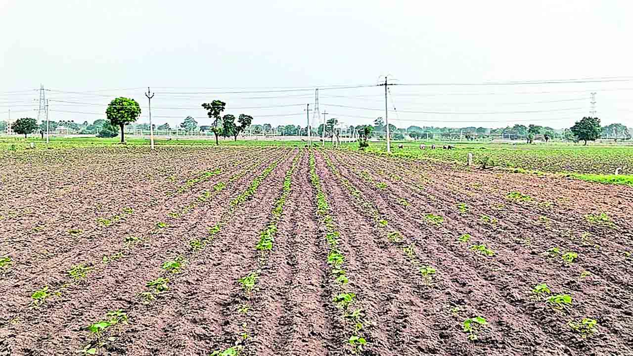 ఉన్నది ఉన్నట్లుగా..