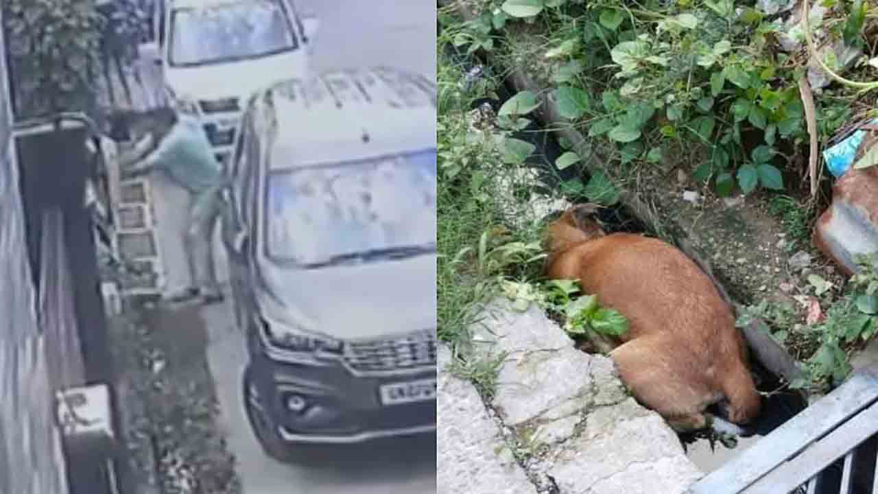 Watch: తనను చూసి మొరుగుతున్నదని.. కుక్కపై రిటైర్డ్ పీడబ్యూడీ ఇంజినీర్ కాల్పులు