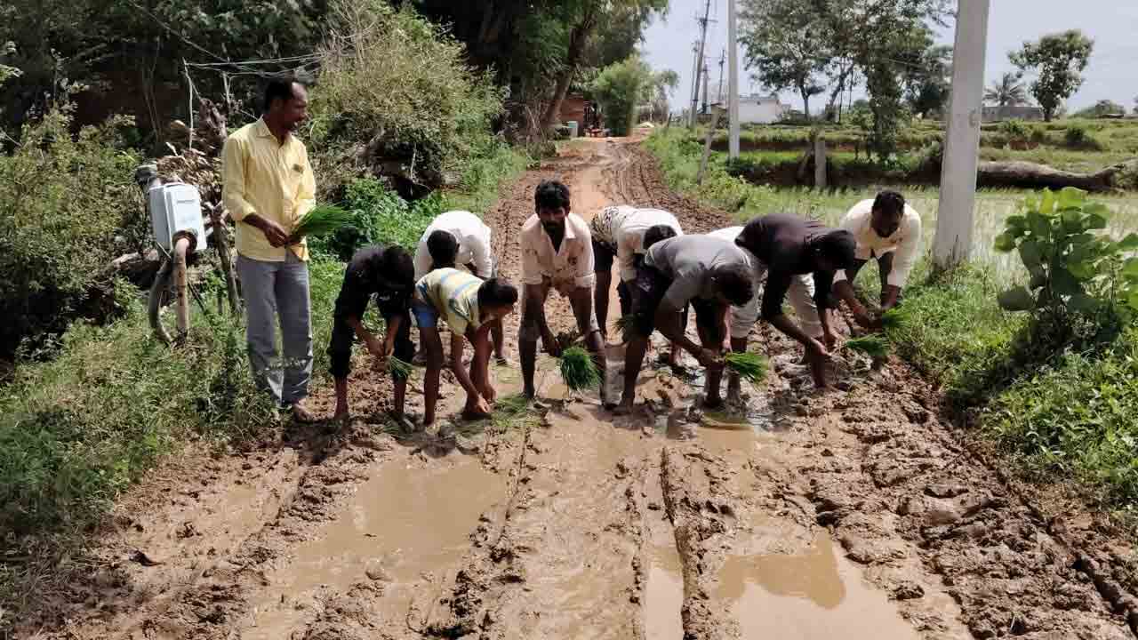 Roads | సారూ మా రోడ్లు బాగు చేయరా.. బురద రోడ్లపై వరినాట్లు వేసి నిరసన