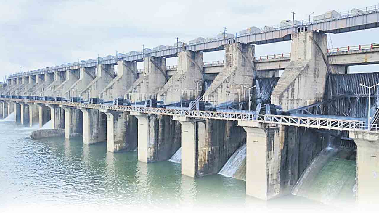 నీళ్లులేక ఎండిపోతున్న తుకాలు