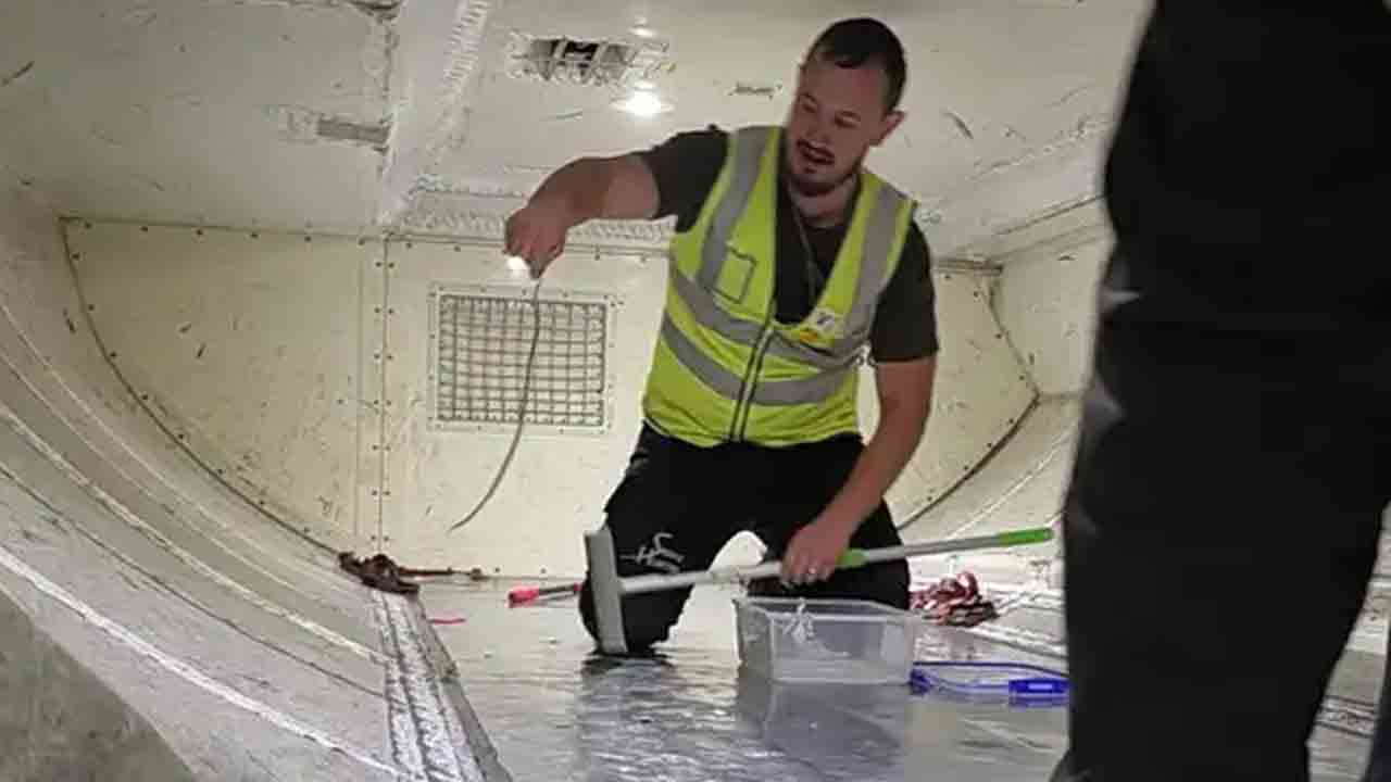 Snake in plane | విమానంలో దూరిన పాము.. రెండు గంటలు ఆలస్యంగా టేకాఫ్‌