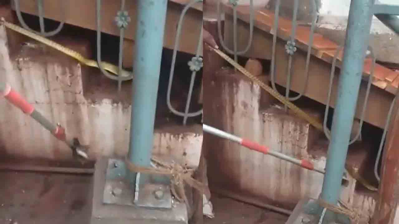 Snake in Temple | ఆలయంలో పాము కలకలం.. భయంతో హడలిపోయిన భక్తులు.. Video