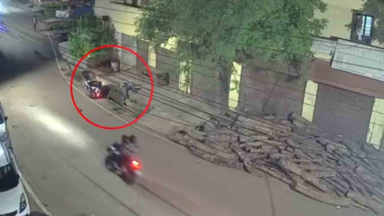 Watch: రోడ్డుపై ఉన్న కుక్కను తప్పించేందుకు ప్రయత్నించిన బైకర్‌.. తర్వాత ఏం జరిగిందంటే?