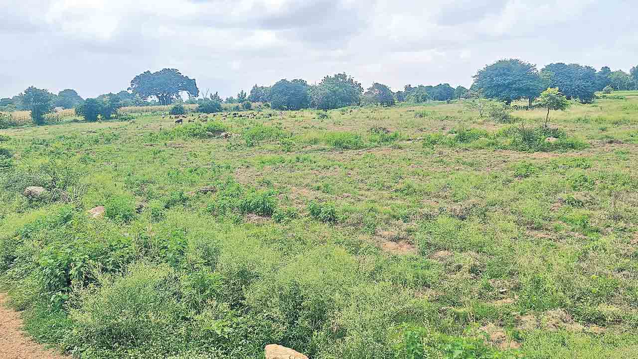 50 లక్షలిచ్చి 54 ఎకరాలకు చెర.. 40 ఎకరాల వక్ఫ్‌ భూములనూ కబళించే కుట్ర