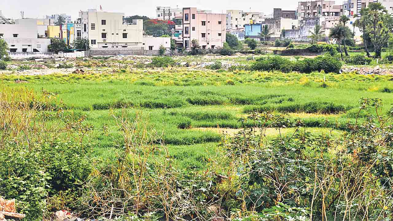 ‘బాలాజీ’ భూములకు ఎసరు!.. ప్రభుత్వంలోని కీలక నేత అండతో 100 కోట్ల దందా!
