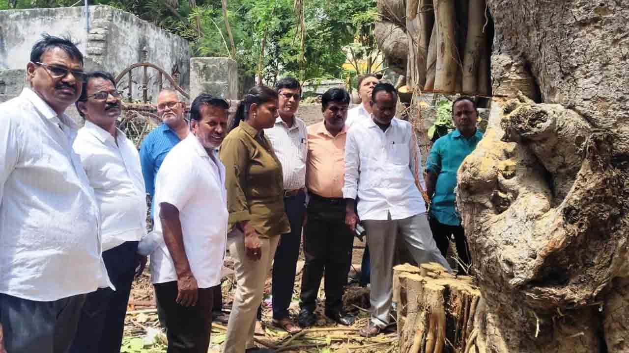 Tree Felling | చెట్లను నరికిన వ్యక్తులపై చట్టపరమైన చర్యలు : అటవీ శాఖ అధికారిణి రేణుక