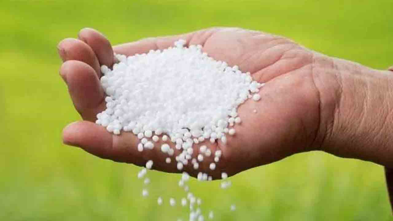 యూరియా తిప్పలు..