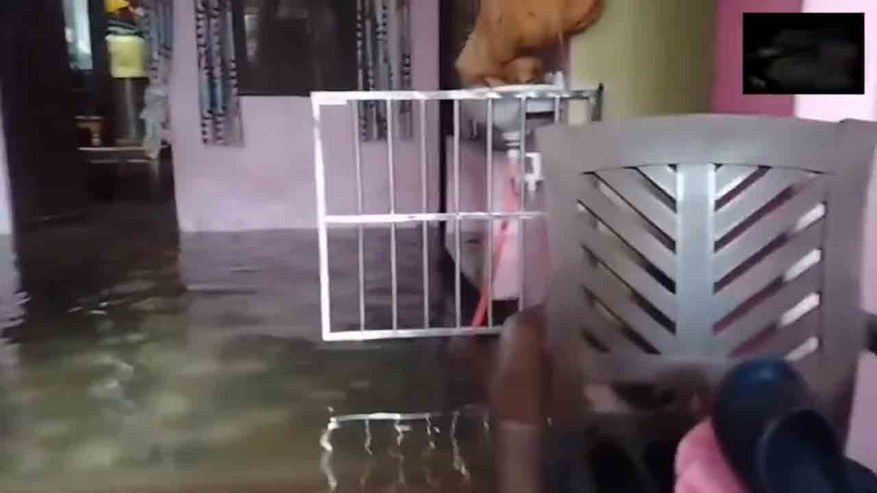 Heavy rain | తికమ్‌గఢ్‌లో కుండపోత వర్షం.. ఇళ్లలోకి చేరిన వరద నీరు.. Video