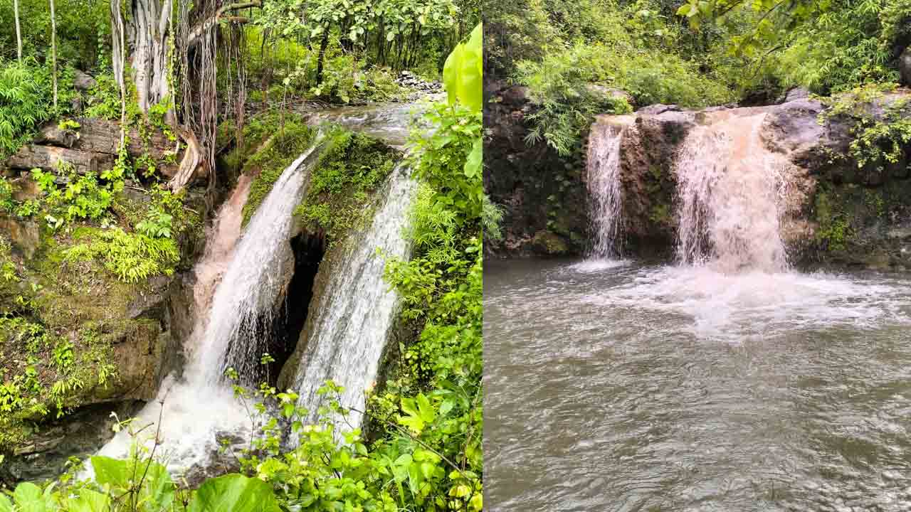 Saleguda Waterfal | ఆకట్టుకుంటున్న సాలేగూడ వాటర్ ఫాల్స్