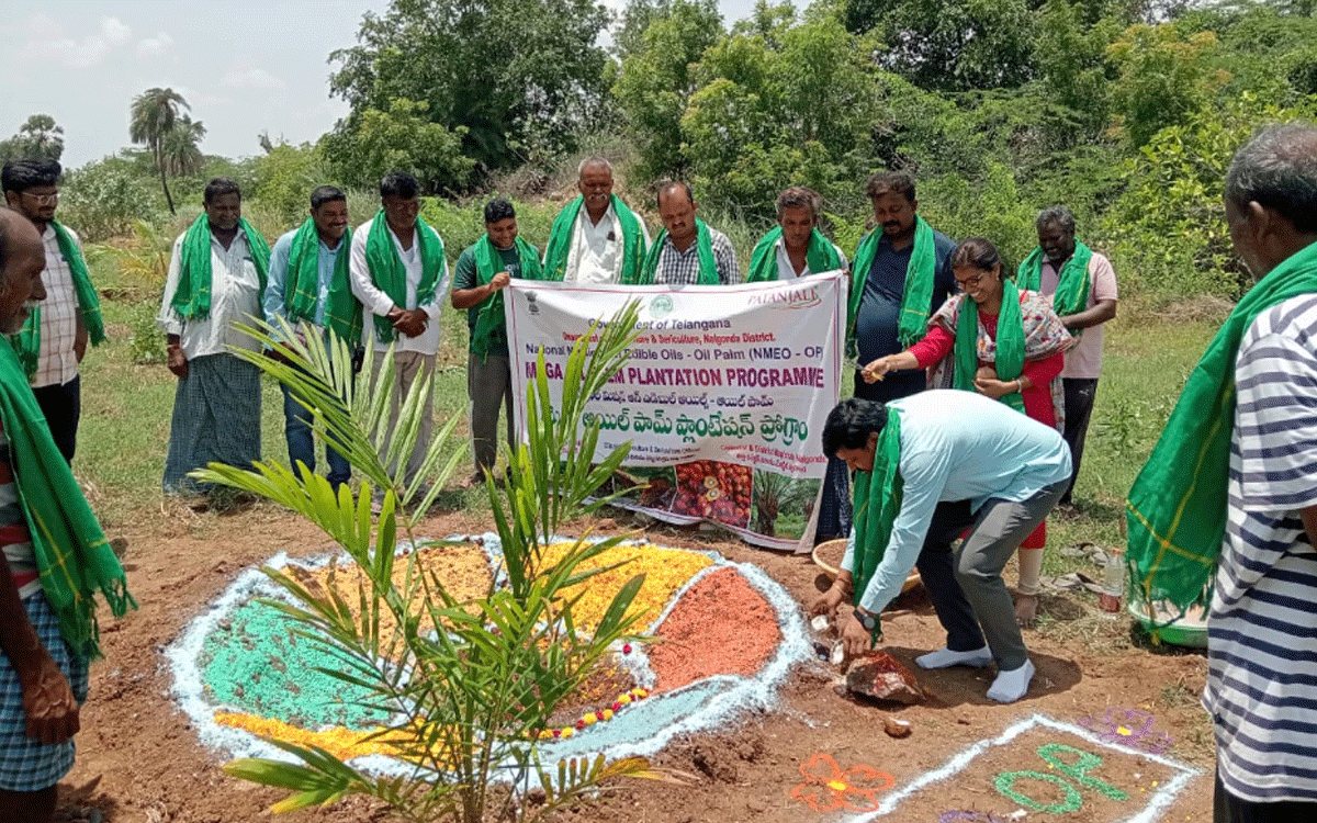 Nidamanoor : ఆయిల్‌పామ్ సాగుతో మెరుగైన‌ ఆదాయం : ఉద్యాన‌వ‌న అధికారి అనంతరెడ్డి
