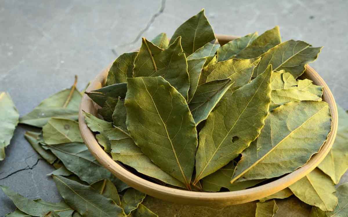 Bay Leaves Water | బిర్యానీ ఆకులు కేవ‌లం వంట‌ల‌కే కాదు.. ఆరోగ్య‌ప‌రంగా కూడా ఎంతో ఉప‌యోగ‌ప‌డ‌తాయి.. ఎలాగంటే..?