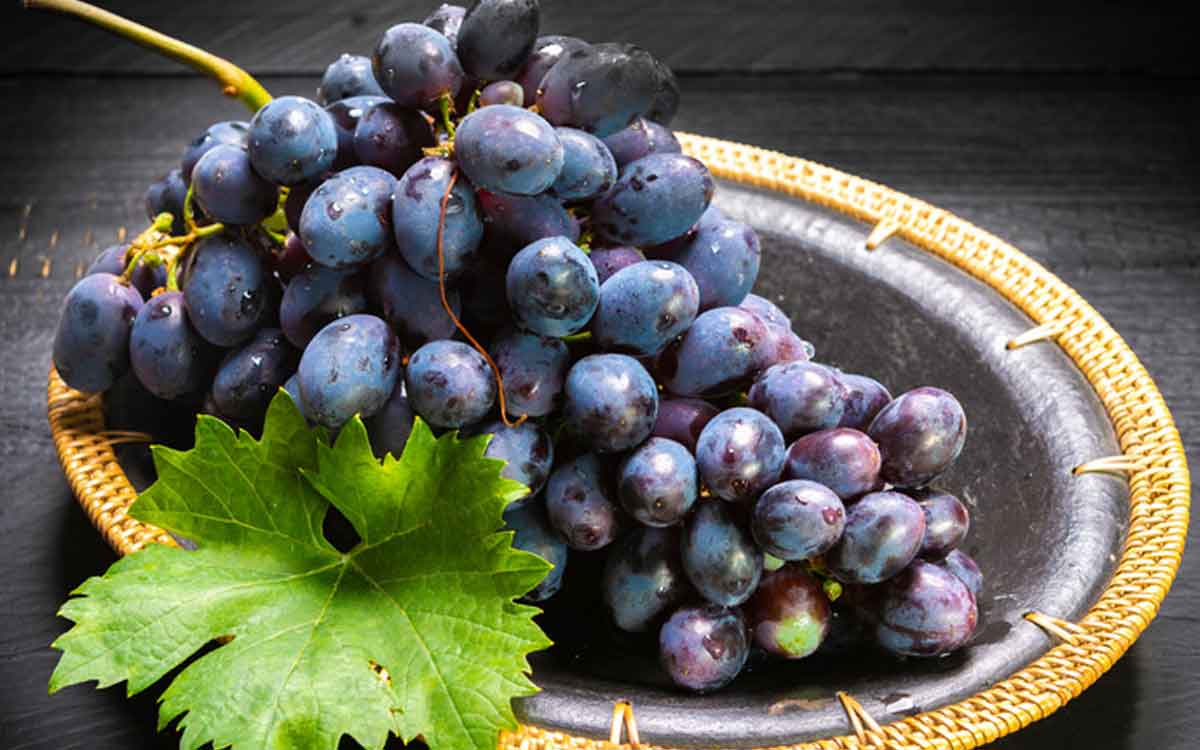 Black Grapes | న‌లుపు రంగు ద్రాక్ష‌ల‌ను తింటే ఎన్ని లాభాలు క‌లుగుతాయో తెలుసా..? ఆశ్చ‌ర్య‌పోతారు..!
