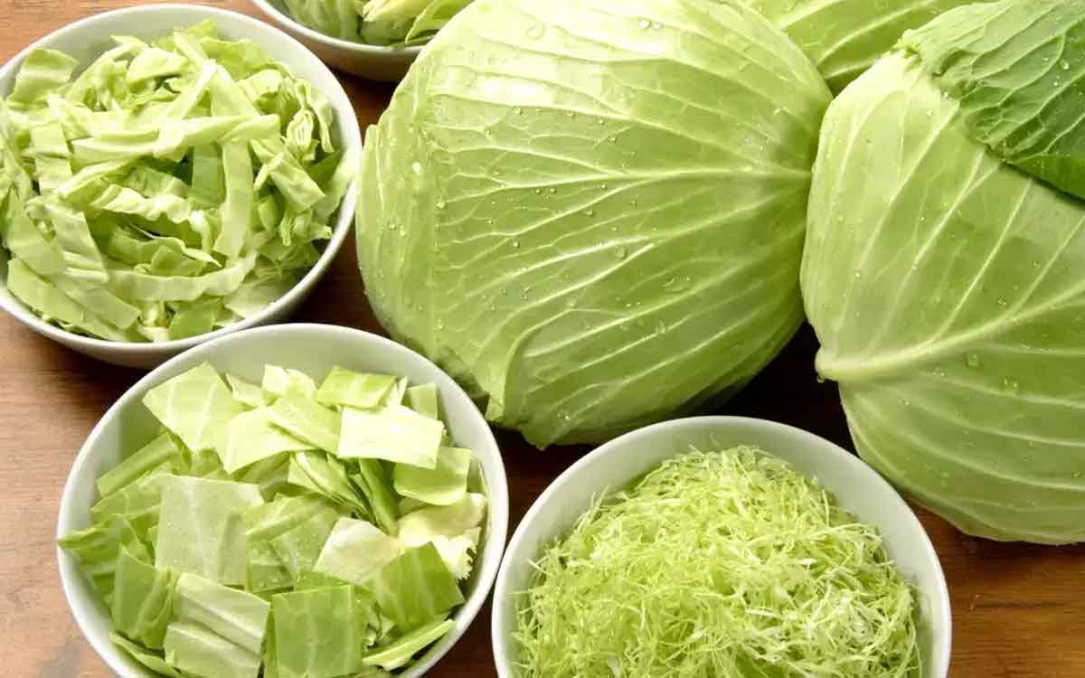 Cabbage | క్యాబేజీతో ఎలాంటి లాభాలు క‌లుగుతాయో తెలిస్తే.. వెంట‌నే తెచ్చుకుని తింటారు..!