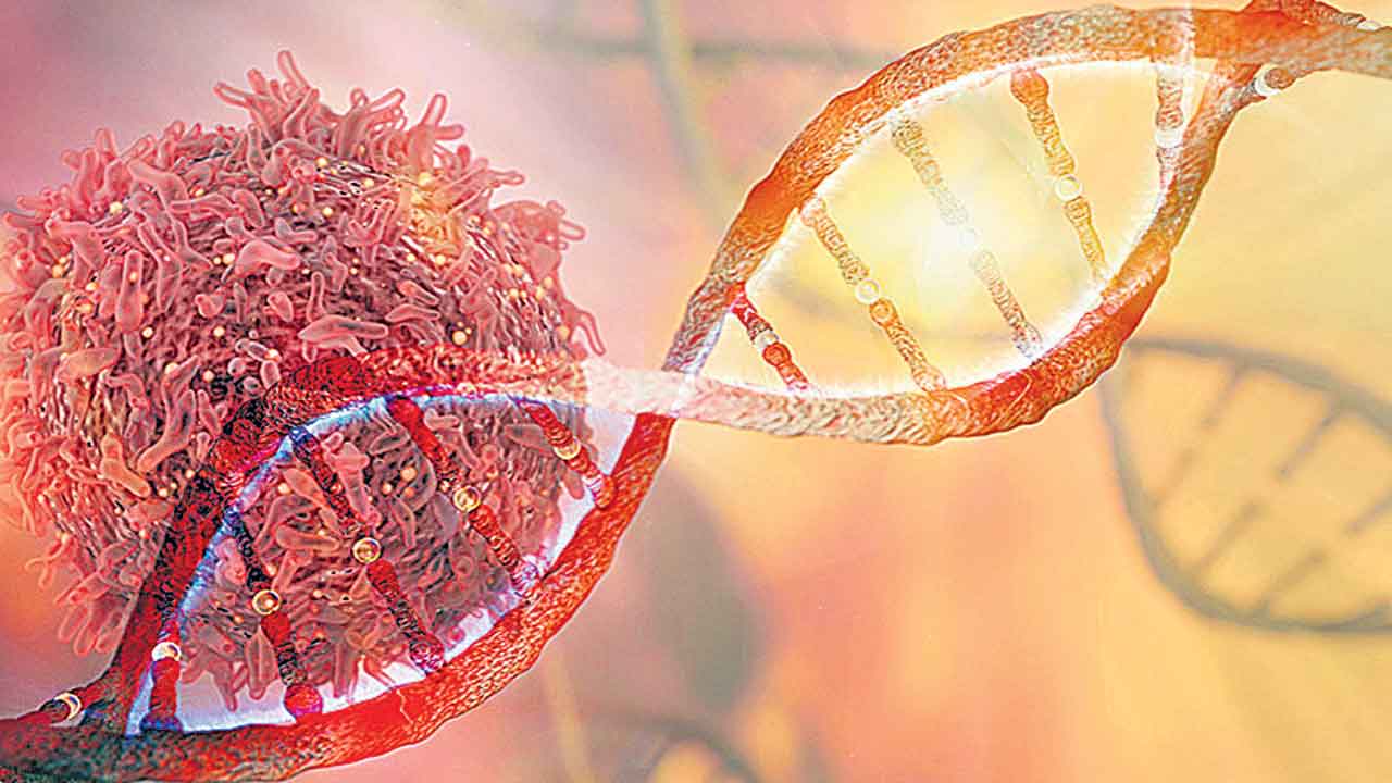 Cancer Dna
