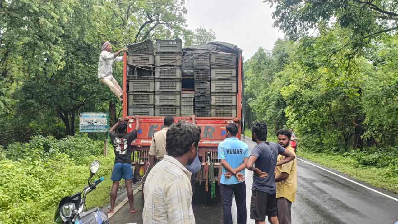 Mulugu | అక్రమంగా తరలిస్తున్న పశువుల పట్టివేత