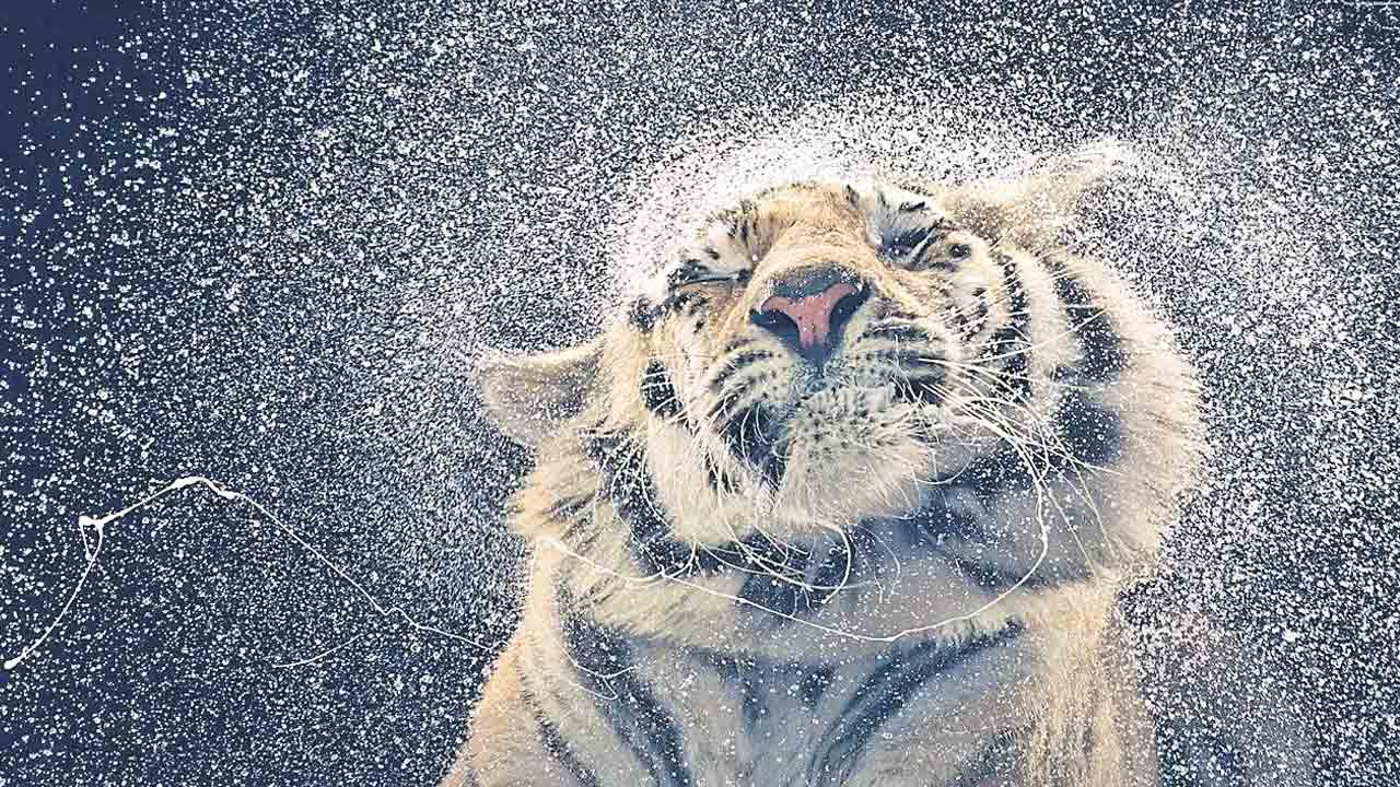 కాలం.. ఇంద్రజాలం!