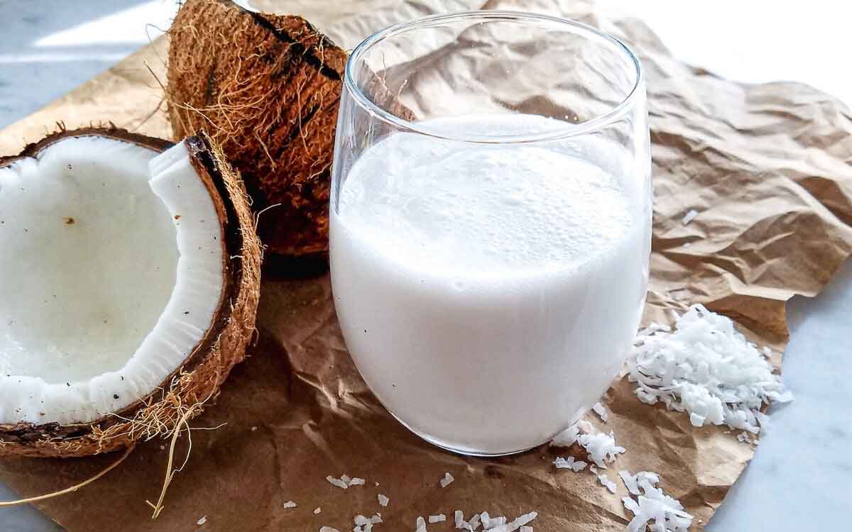 Coconut Milk | కొబ్బ‌రిపాల‌ను తాగుతార‌ని మీకు తెలుసా..? ఈ పాల‌తో ఎన్ని లాభాలు క‌లుగుతాయంటే..?