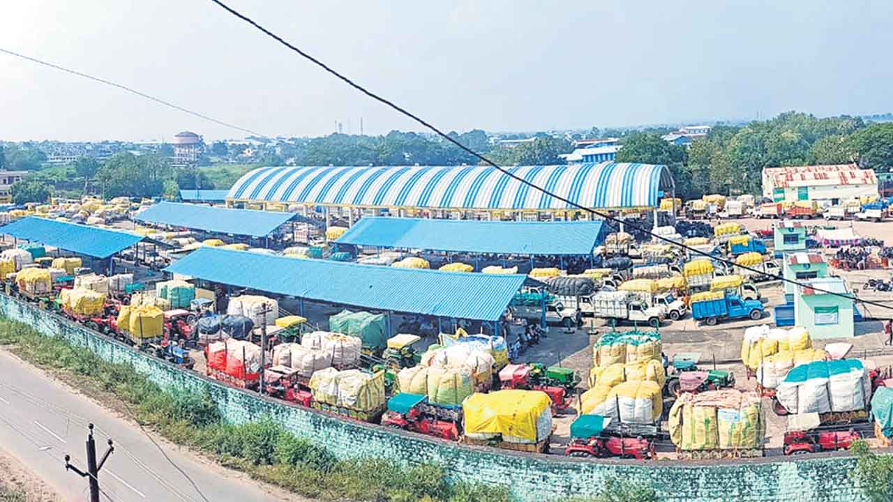 పత్తి కొనుగోళ్లలో కొత్త విధానం