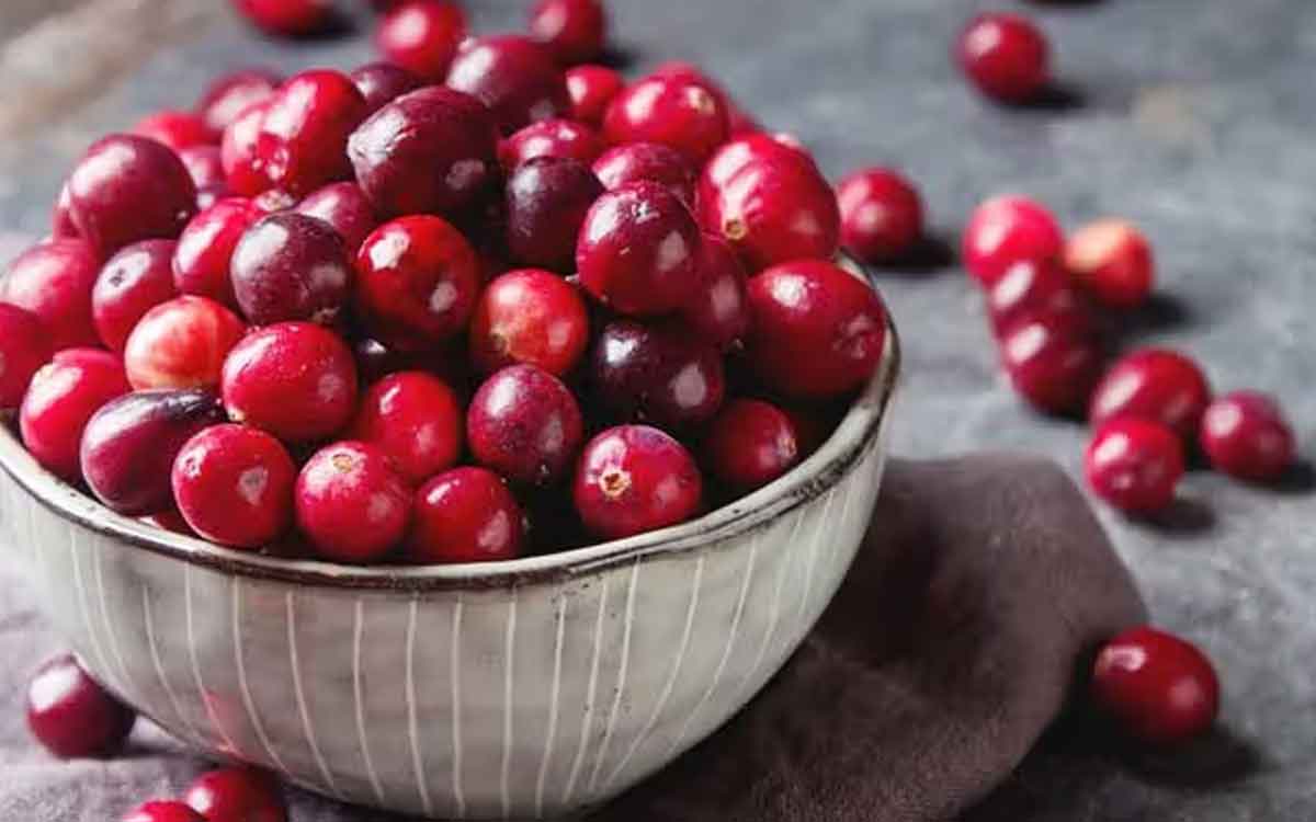Cranberries | క్రాన్ బెర్రీల‌ను తిన‌డం వ‌ల్ల ఎన్ని లాభాలు ఉన్నాయో తెలుసా..? క‌చ్చితంగా వీటిని రోజూ తినాలి..!