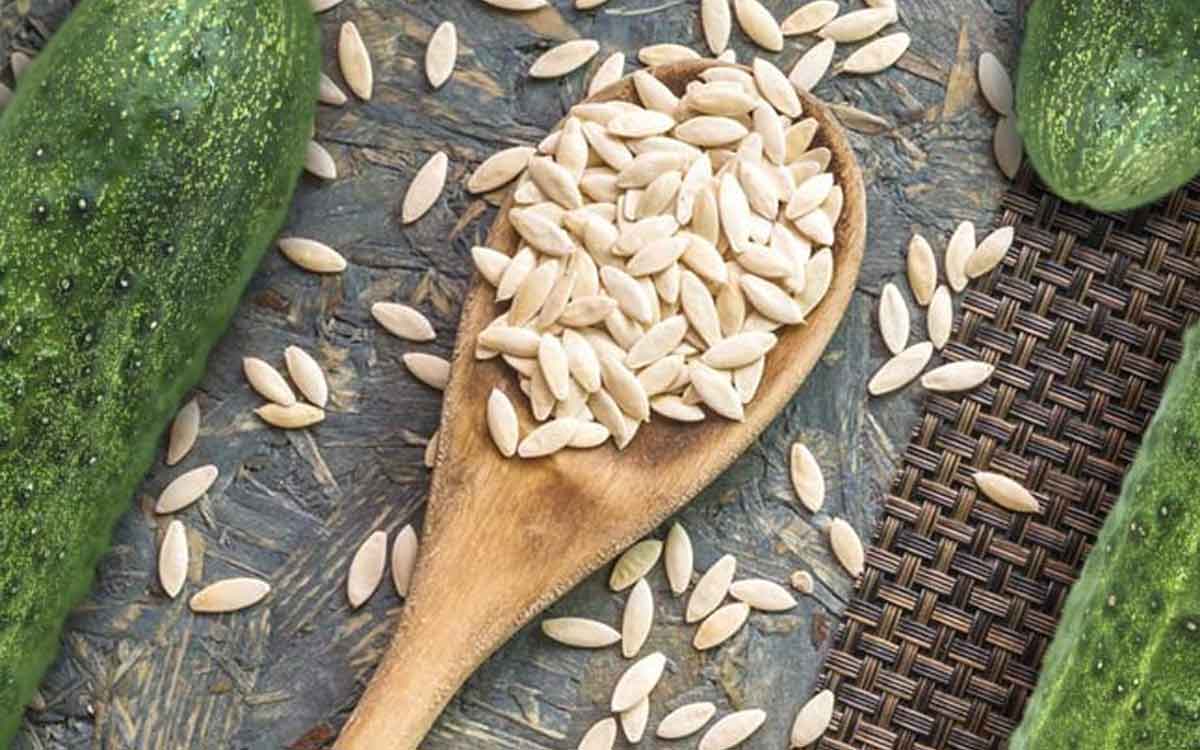 Cucumber Seeds | కీరదోసకాయలను తిన్న తరువాత విత్తనాలను పడేస్తున్నారా..? ఈ ఉపయోగాలు తెలిస్తే ఇకపై వాటిని పడేయరు..!