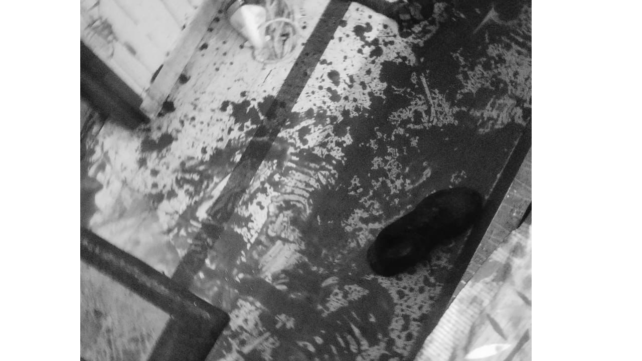 Delhi Murder: తిట్టినందుకు త‌ల్లీకొడుకుల గొంతు కోసి చంపిన ప‌నిమనిషి