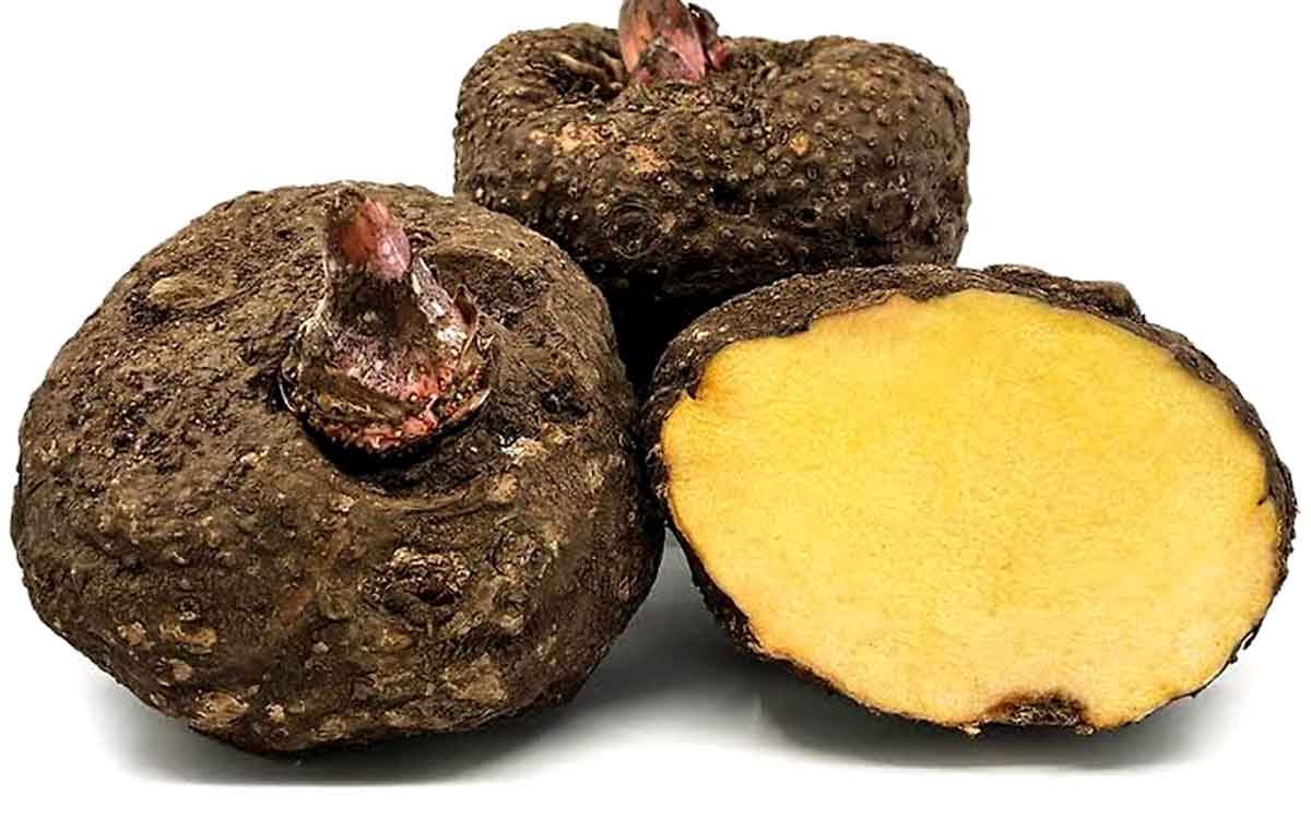 Elephant Yam | ఈ దుంపను చాలా మంది తేలిగ్గా తీసుకుంటారు.. కానీ దీంతో క‌లిగే లాభాలు ఏమిటో తెలుసా..?