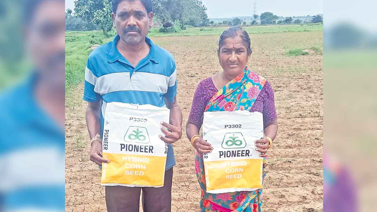 నకిలీ విత్తన కంపెనీపై చర్యలు తీసుకోవాలి