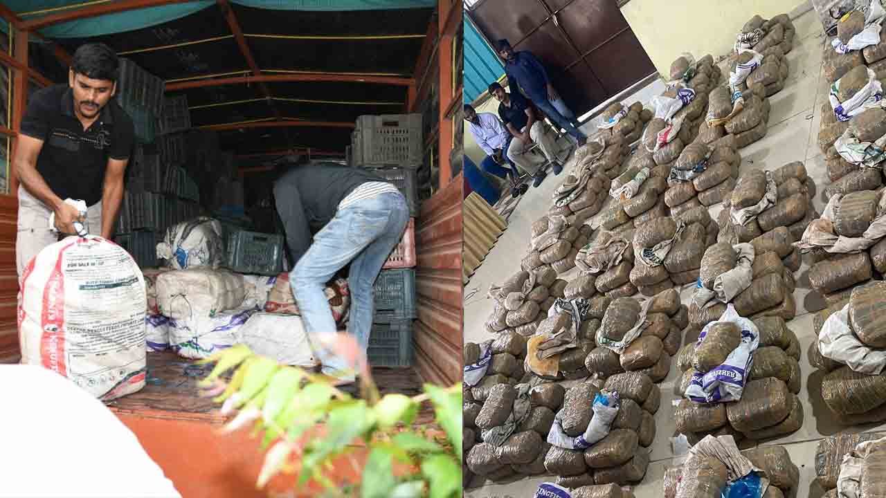 Ganja | పండ్ల ట్రేలలో 935 కిలోల గంజాయి సరఫరా.. బాటసింగారం వద్ద 455 ప్యాకెట్లు సీజ్