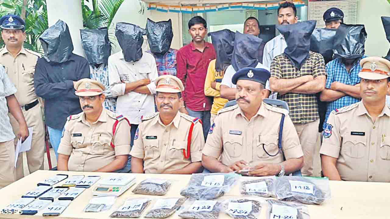 గంజాయి ముఠా అరెస్టు