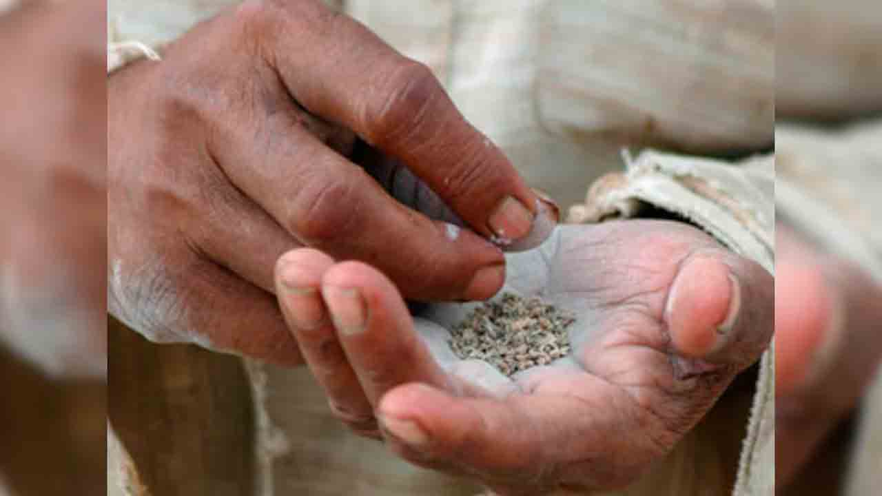 Gutka Sales | విచ్చలవిడిగా బ్లాక్ మార్కెట్ దందా.. గుట్కా అమ్మకాల నియంత్రణపై నిఘా ఏది?