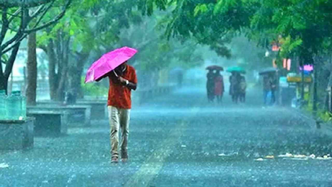 Warangal | వరంగల్ జిల్లాలో సాధారణ వర్షపాతం.. అత్యధికంగా సంగెం మండలంలో..