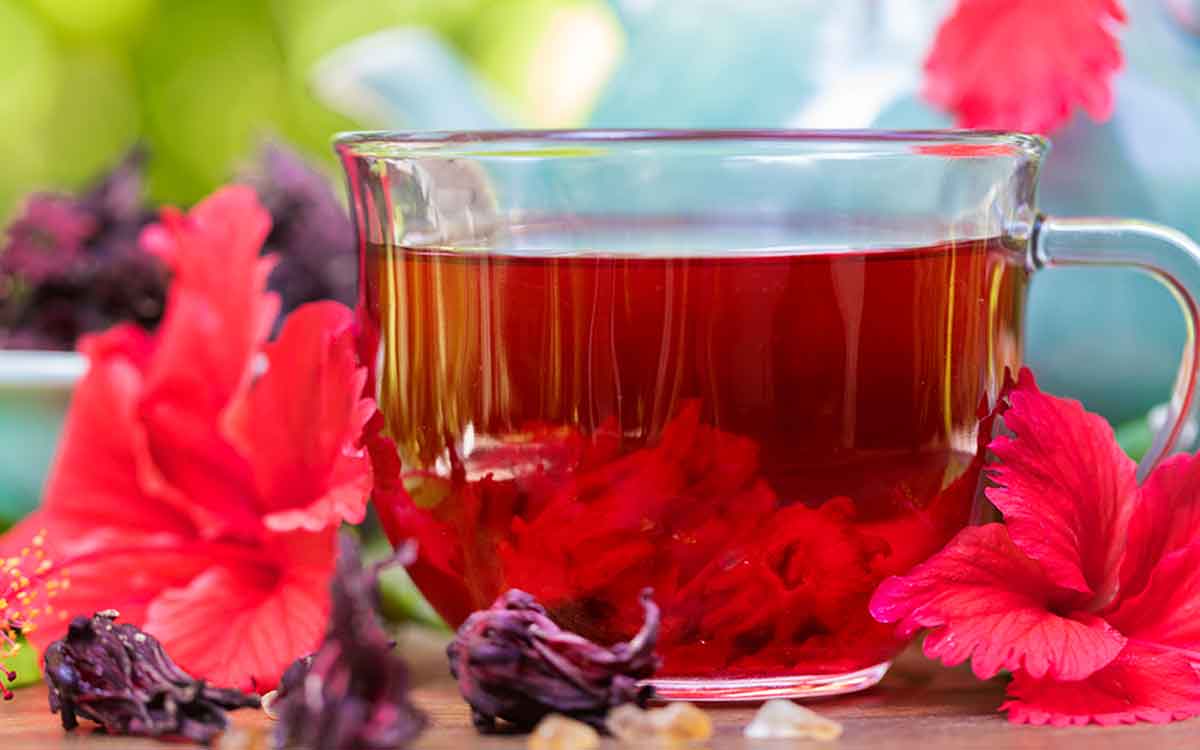 Hibiscus Flowers Tea | మందార పువ్వుల టీ రోజూ తాగితే ఇన్ని లాభాలు ఉన్నాయా..? తెలిస్తే వెంట‌నే తాగుతారు..!