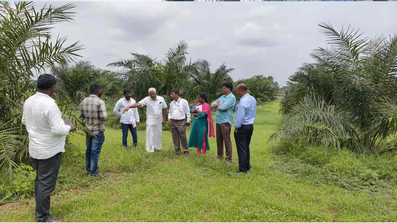 Oil Palm | ఆయిల్ పామ్ సాగుపై రైతులను ప్రోత్సహించాలి