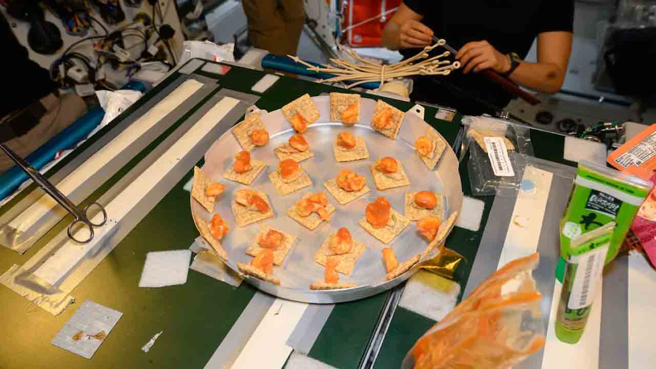 Hubhanshu Shukla3
