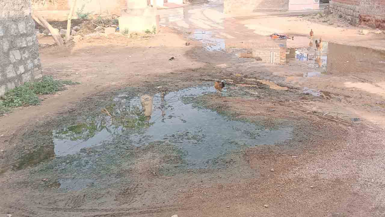 Palle Pragathi | ప్రత్యేకాధికారుల పాలనలో.. గ్రామాల్లో పడకేసిన పారిశుధ్యం..