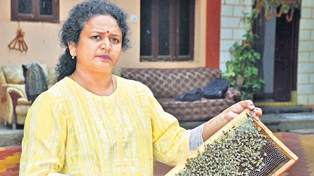 ఇంటిపట్టునే.. తేనెపట్టు