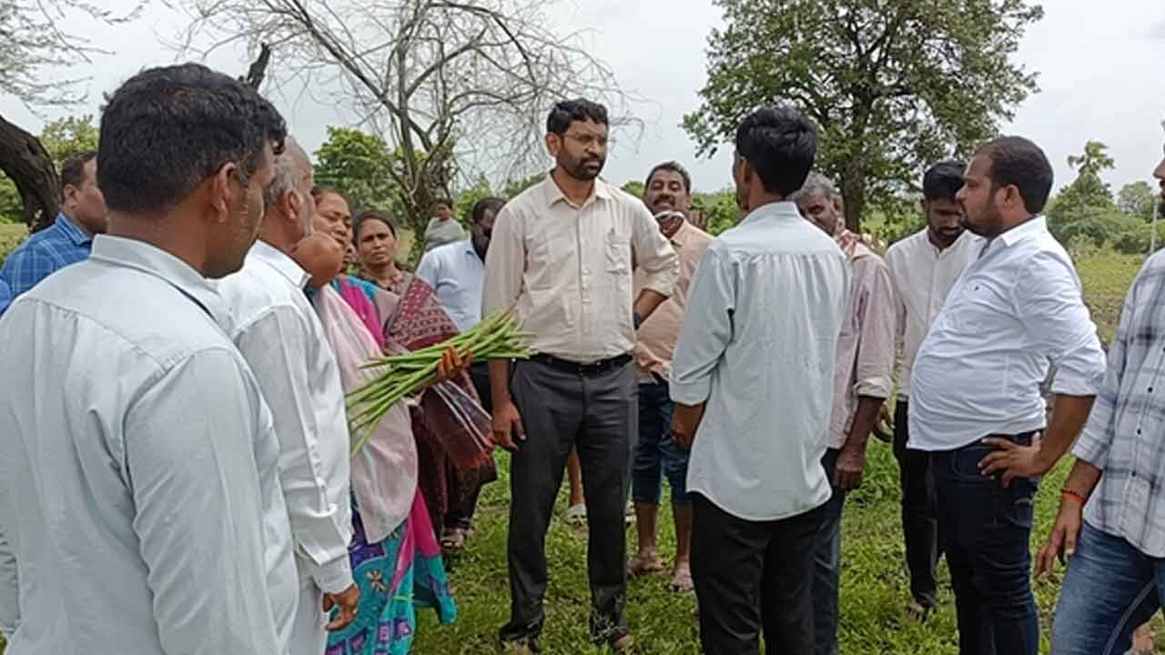 Collector Jitesh V Patil | పత్తి సాగు చేసే ప్రతి రైతు మునగ సాగుపై దృష్టి సారించాలి: జితేష్ వి పాటిల్