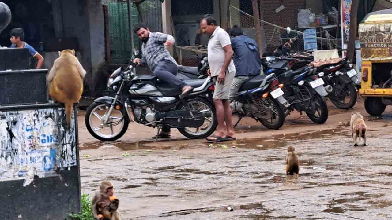 Karepally 1