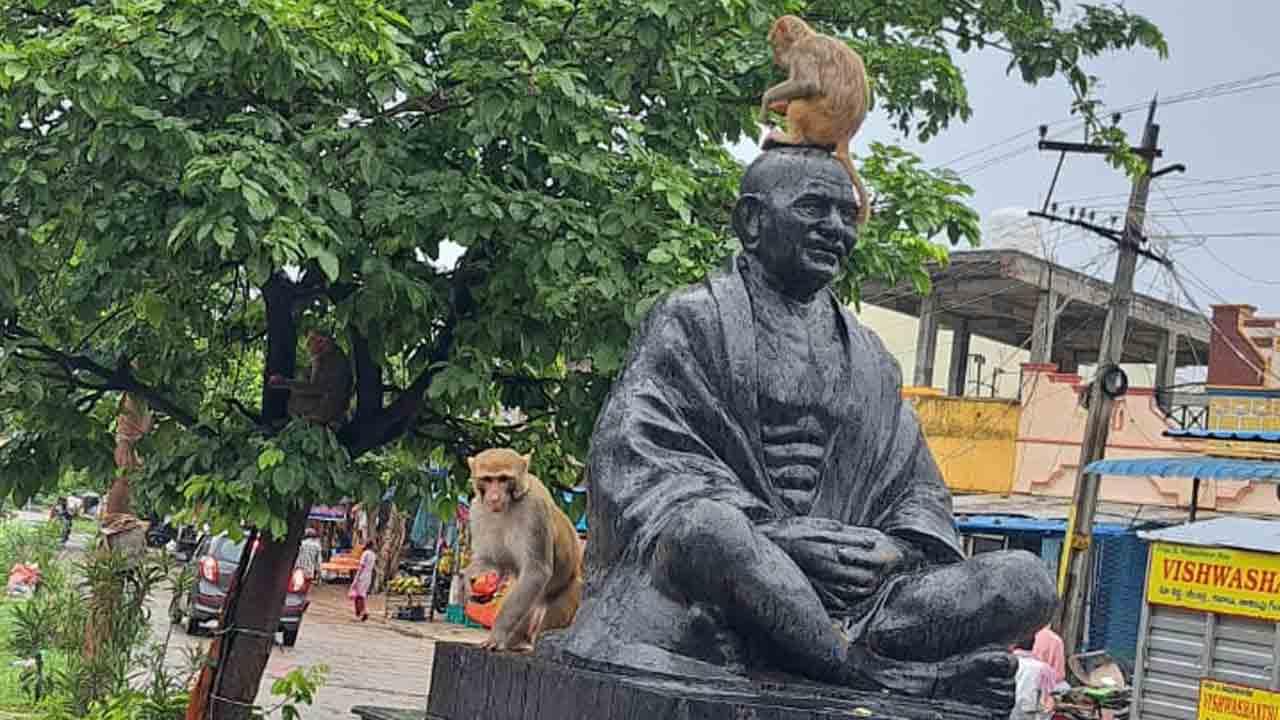 Monkey | కారేపల్లిలో కోతుల హల్చల్.. భయభ్రాంతులకు గురవుతున్న ప్రజలు
