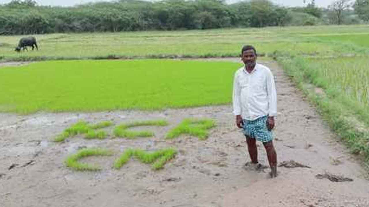 KCR | గుండెలనిండా చెరుపలేని అభిమానం.. వరి పొలంలో కేసీఆర్ పేరు